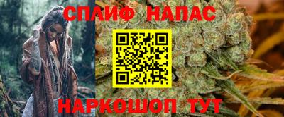 шишки Балашиха