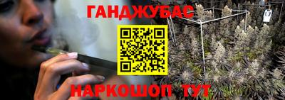 шишки Балашиха