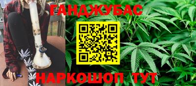 шишки Балашиха