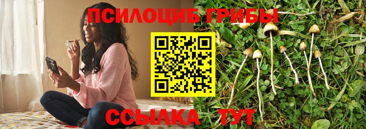 Галлюциногенные грибы Psilocybe  Вход с VPN  Галлюциногенные грибы ЛСД  Гатчина 