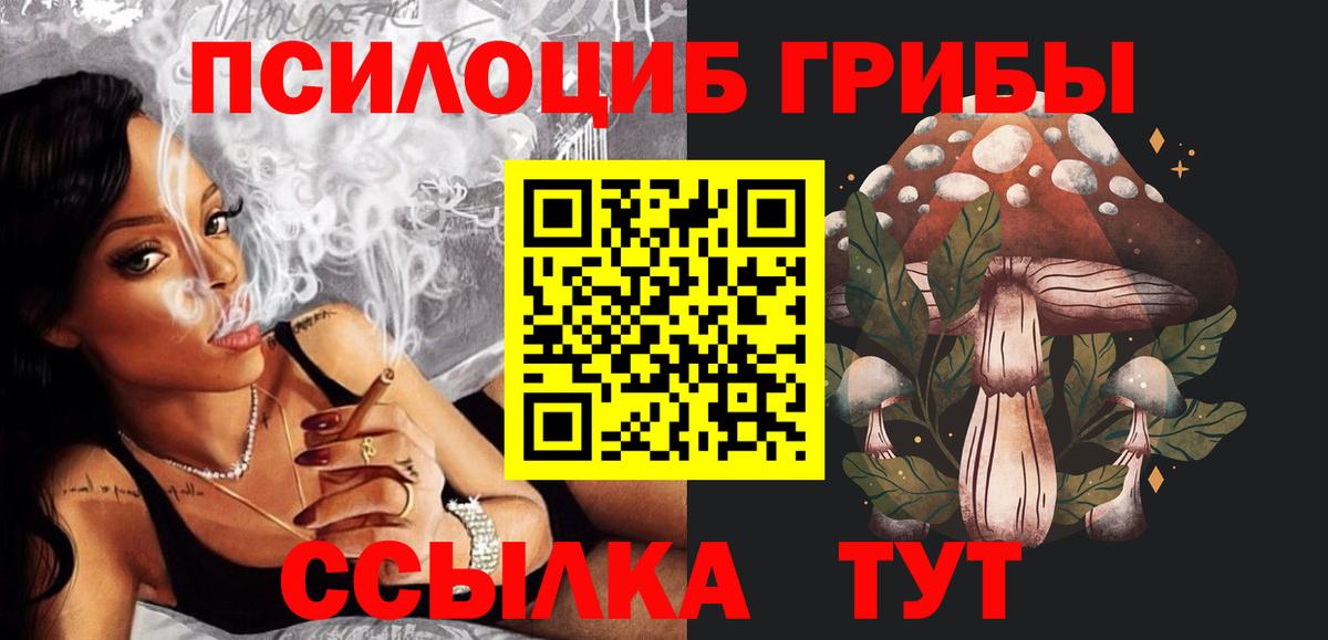 Псилоцибиновые грибы GOLDEN TEACHER Гатчина
