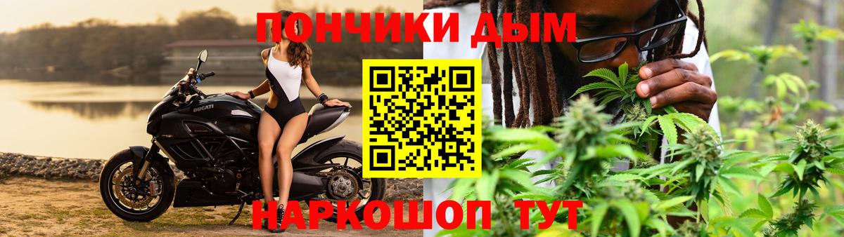 Бошки Шишки семена Гатчина